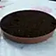 Kedi Çimi 10'lu Paket