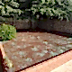 Shadow Tohum Halısı 10m2 Shadow Tohum Halısı 10m2