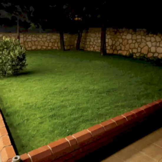 Shadow Tohum Halısı 10m2 Shadow Tohum Halısı 10m2