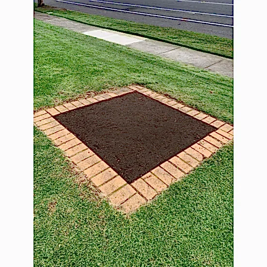 Sunshine Hot Tohumlu Çim Rulosu 10 m2