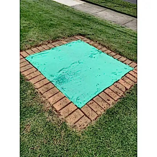 Sunshine Hot Tohumlu Çim Rulosu 10 m2