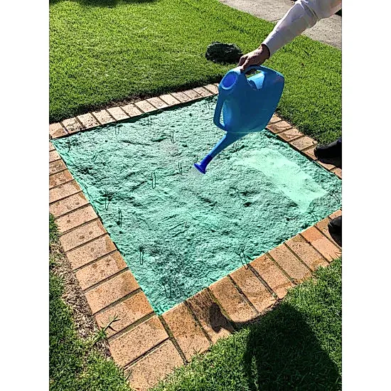 Sunshine Hot Tohumlu Çim Rulosu 10 m2